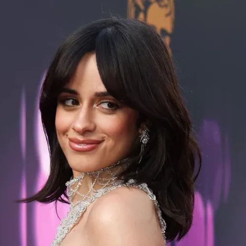 Camila Cabello Butterfly Haircut